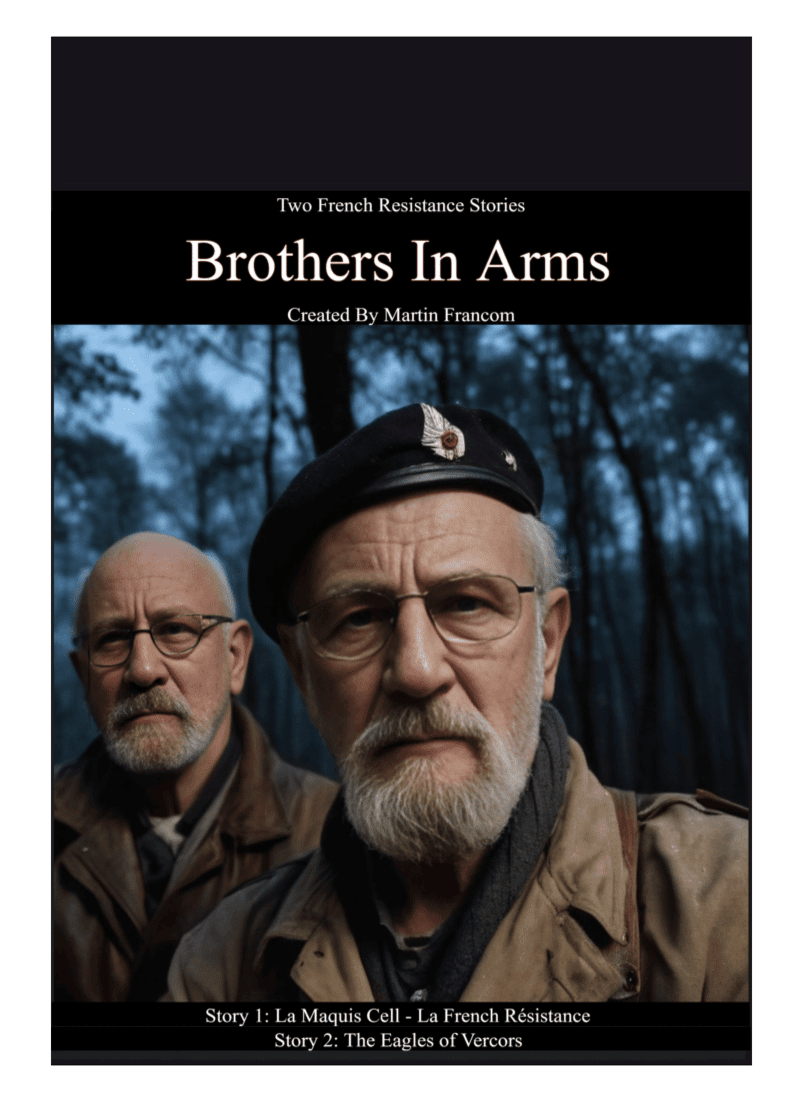 Cover Image for Brothers In Arms: Two French Resistance Stories